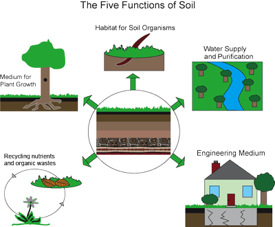 Five Soil Functions