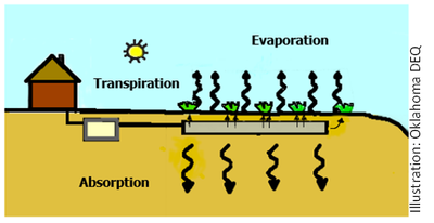 Evapotranspiration Absorbtion