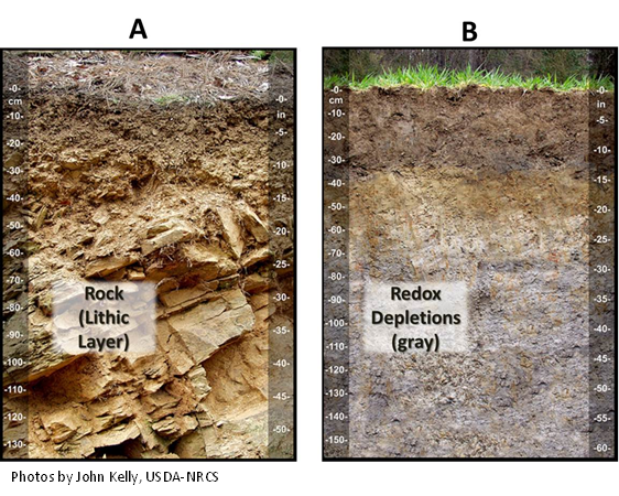 Soil Red Flags